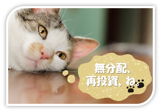 無分配、再投資