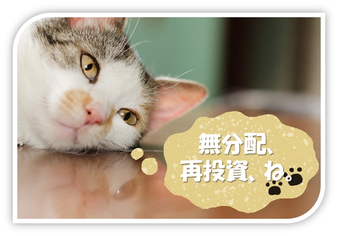 無分配、再投資