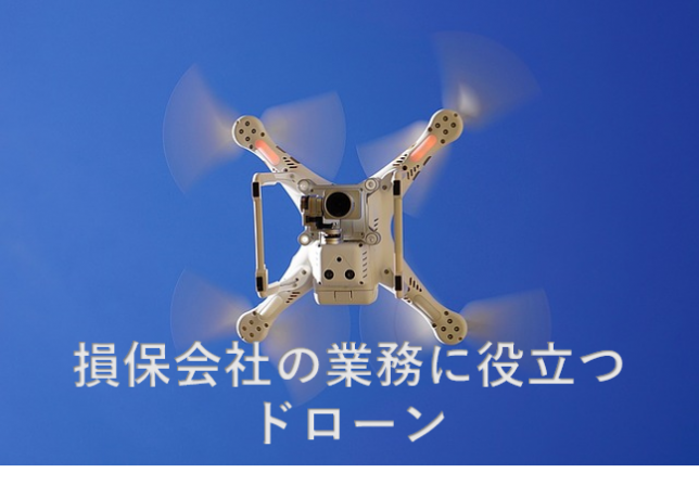 損保　ドローン