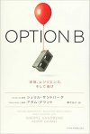option b